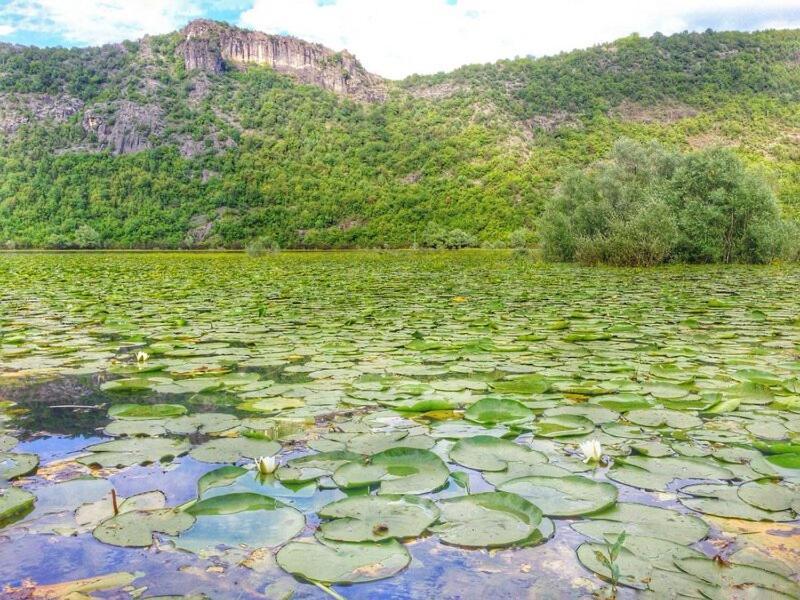 Holiday Home Rijeka Crnojevića المظهر الخارجي الصورة