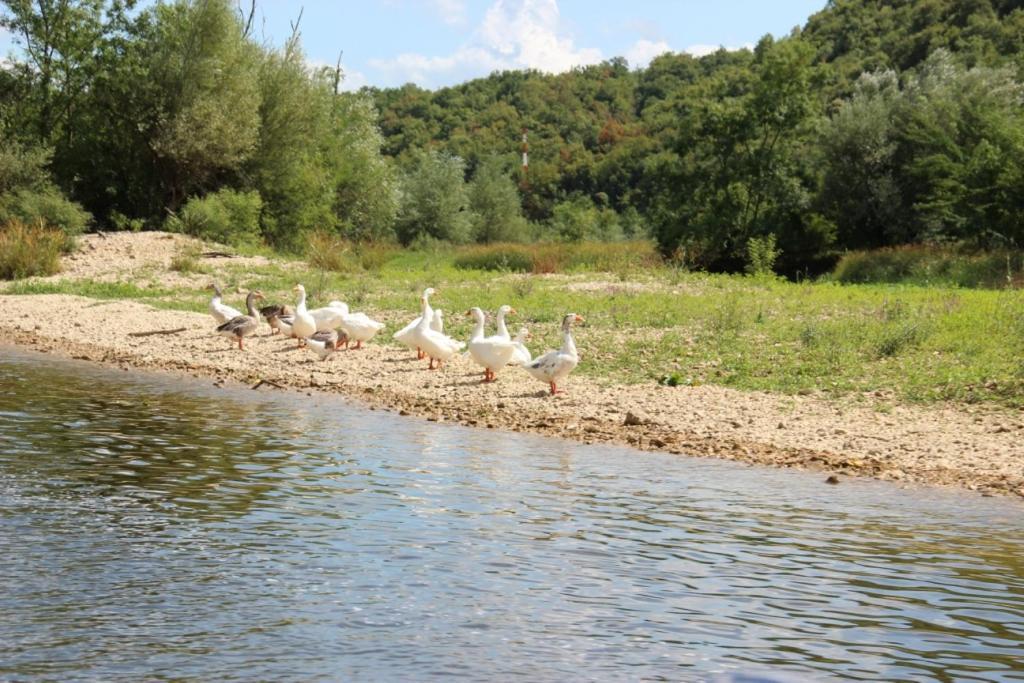 Holiday Home Rijeka Crnojevića المظهر الخارجي الصورة